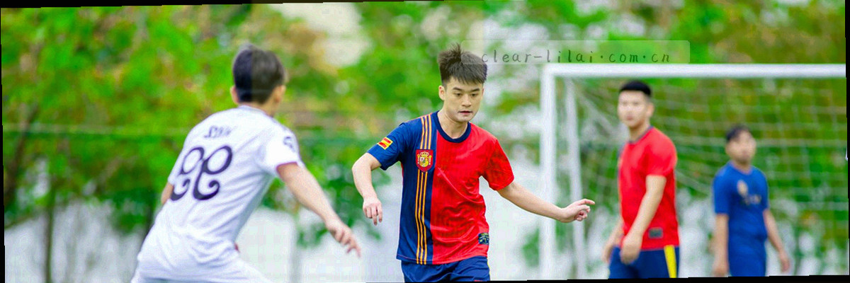 盾牌与数据链图形，象征数据安全与隐私保护